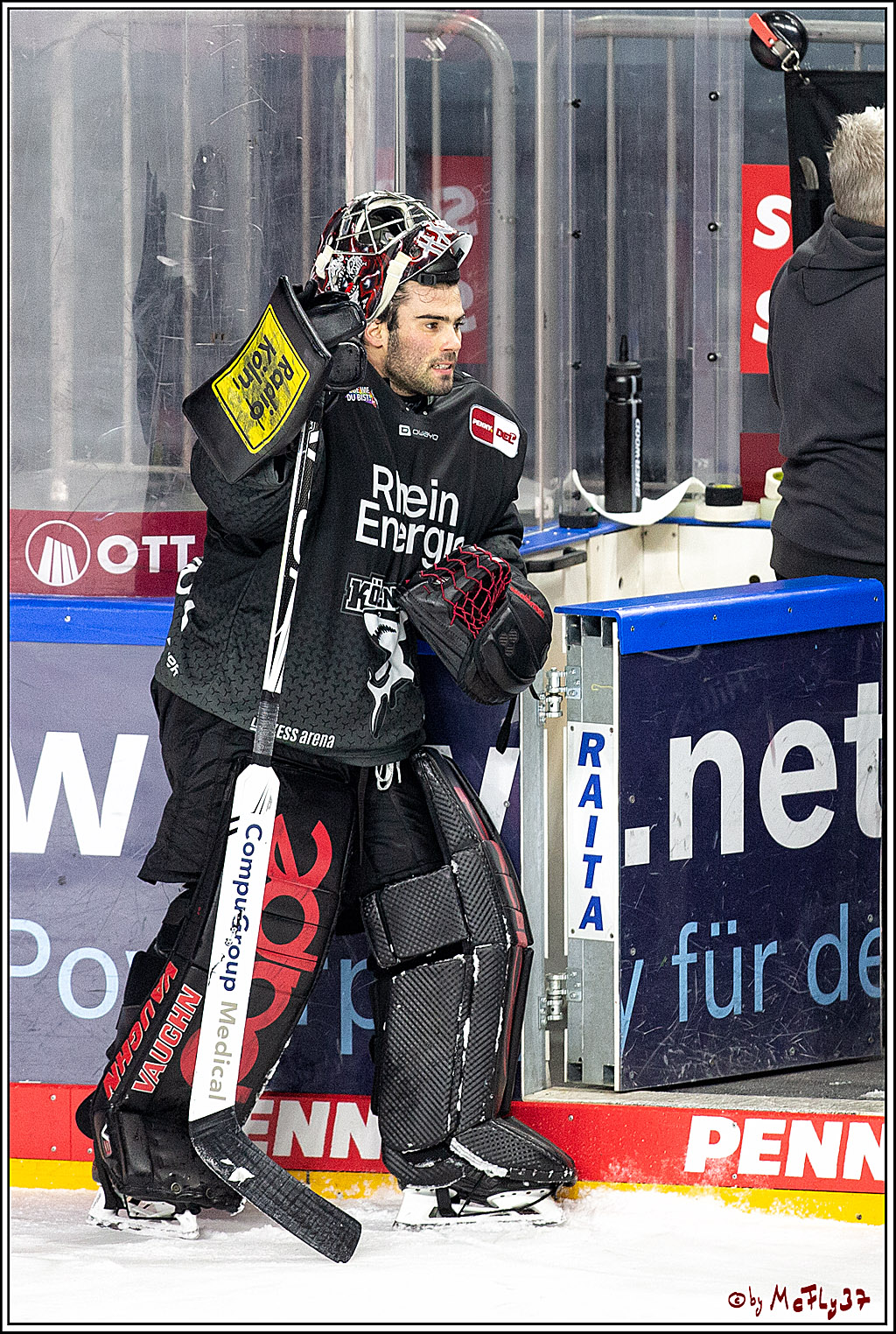 PENNY DEL;  Koelner Haie - Fischtown Pinguins Bremerhaven; Koeln, 17.01.2021